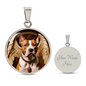 American Staffordshire Terrier Angel