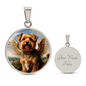 Norfolk Terrier Angel