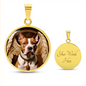 American Staffordshire Terrier Angel