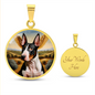 Bull Terrier Angel 003