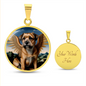 Border Terrier Angel
