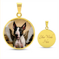Bull Terrier Angel 001