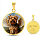 Norfolk Terrier Angel