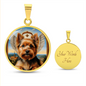 Norwich Terrier Angel
