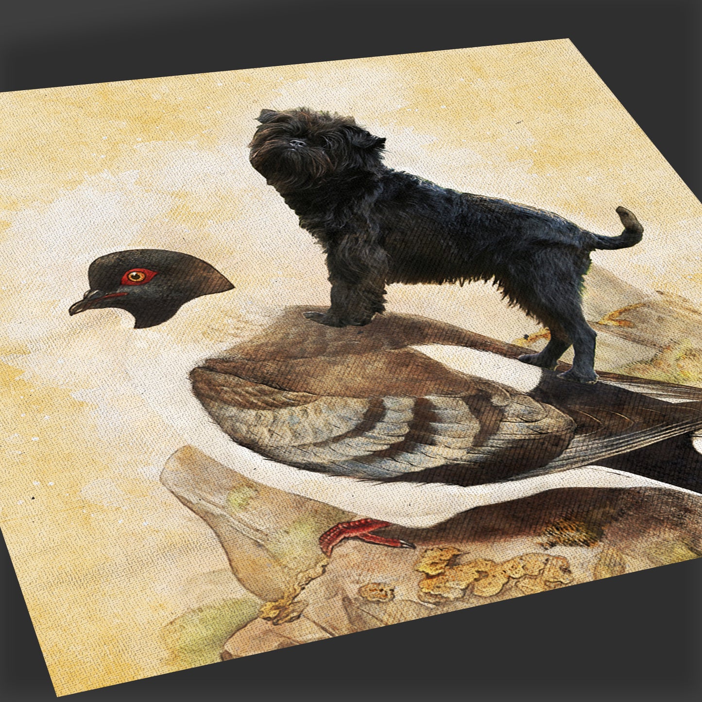 Affenpinscher and Pigeon Vintage Art by Nobility Dogs