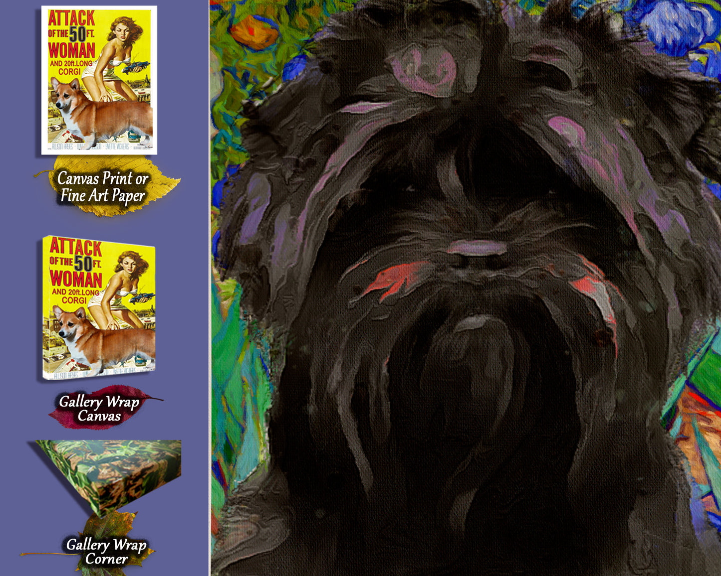 Affenpinscher Iris Van Gogh par Nobility Dogs