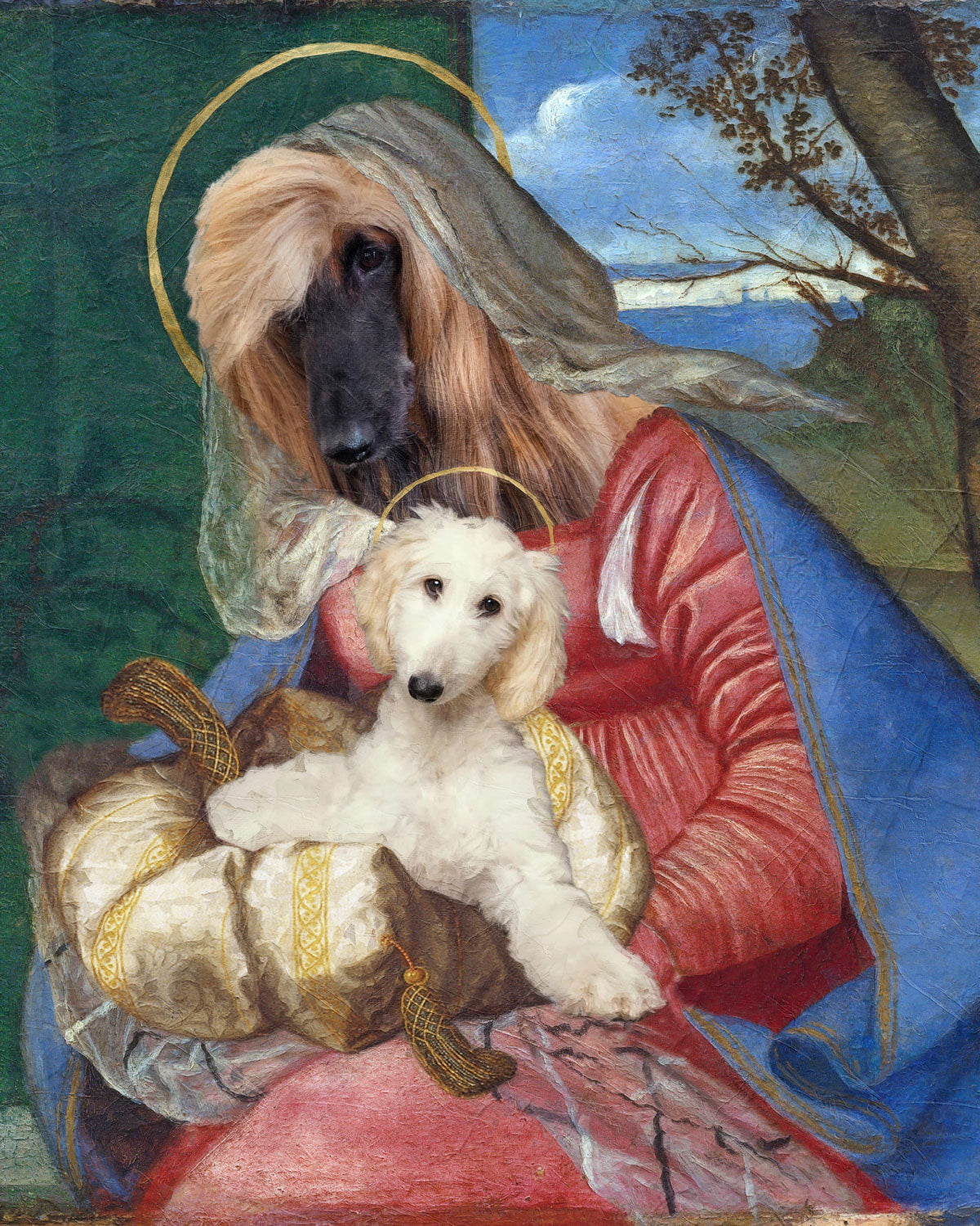 Bache Madonna Lévrier Afghan et Chiot Chien Renaissance