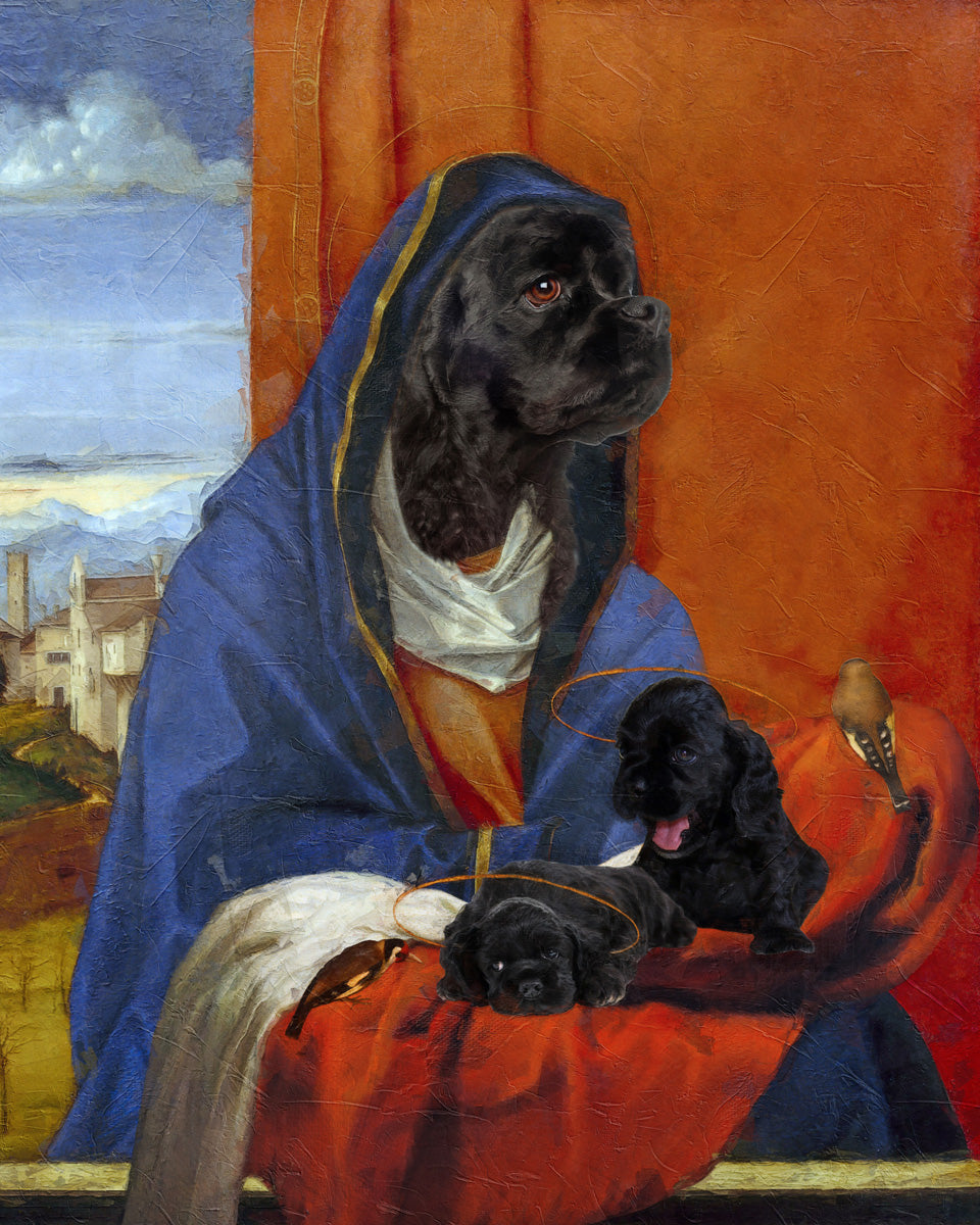 Madonna Black Cocker Spaniels and Puppies
