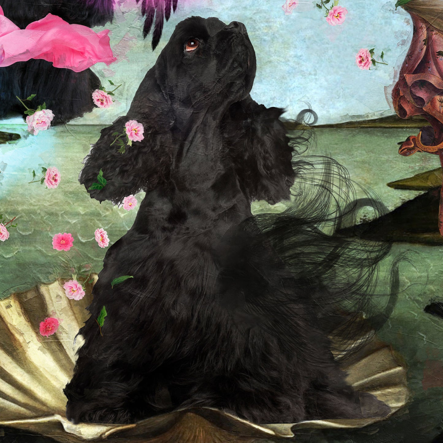 Black Cocker Spaniel The birth of Venus