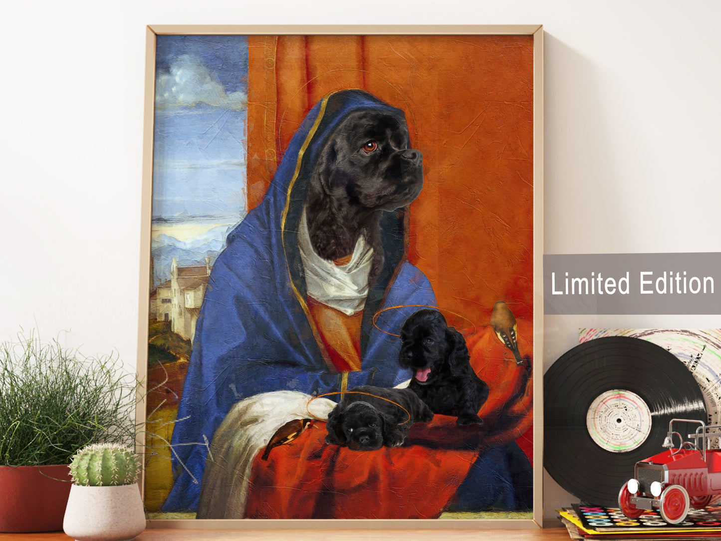 Madonna Black Cocker Spaniels and Puppies