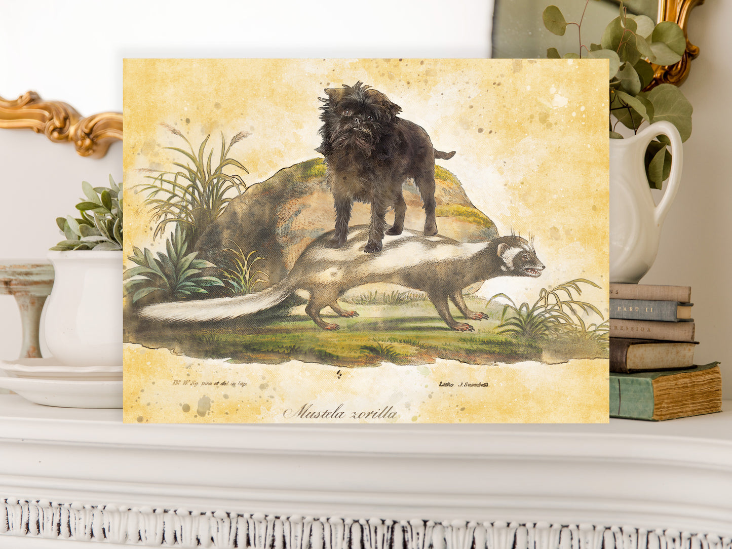 Affenpinscher riding Skunk Vintage Art by Nobility Dogs