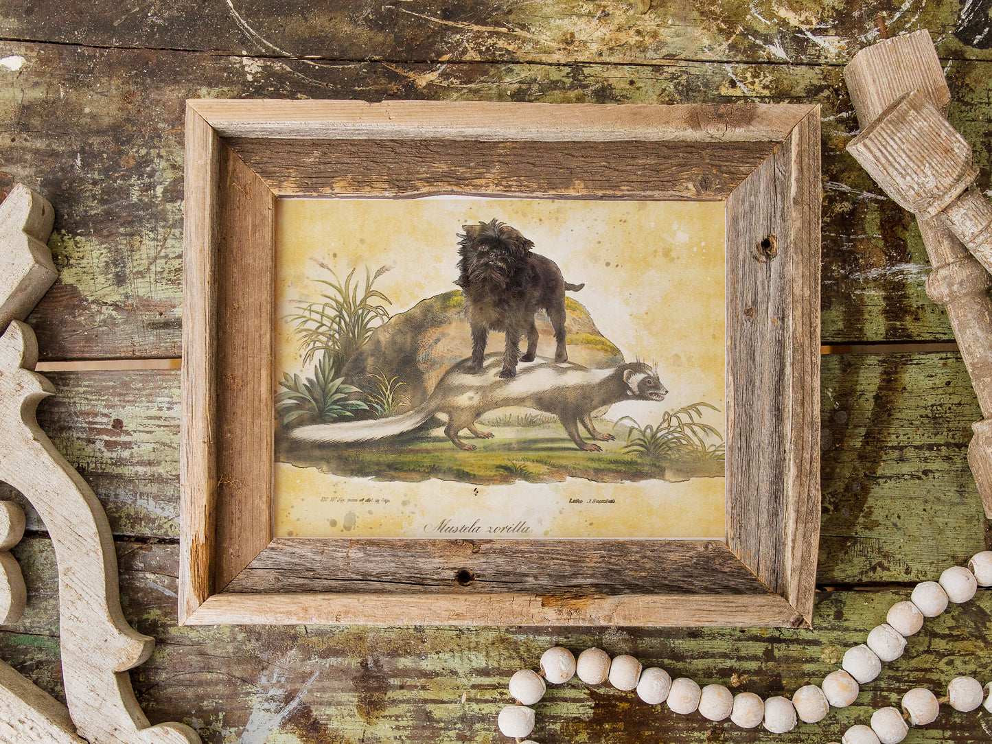 Affenpinscher riding Skunk Vintage Art by Nobility Dogs