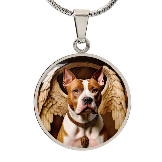 American Staffordshire Terrier Angel