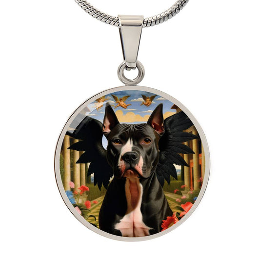 American Staffordshire Terrier Angel 002