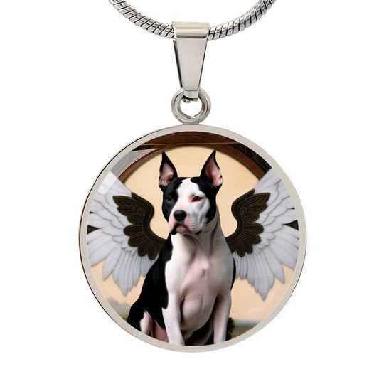 American Staffordshire Terrier Angel 001