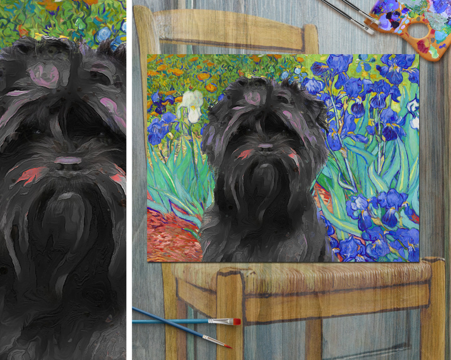 Affenpinscher Iris Van Gogh par Nobility Dogs