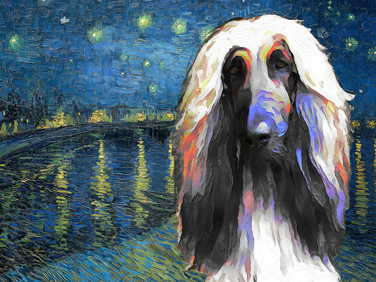 Afghan Hound Starry Night over the Rhone by Nobility Dogs